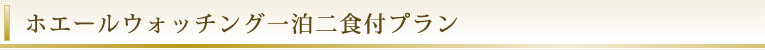 ホエールウォッチング 一泊二食付プラン